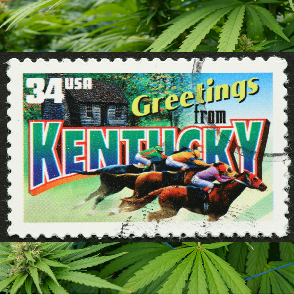 Kentucky Senate chamber during heated hemp legislation debate with politicians arguing
