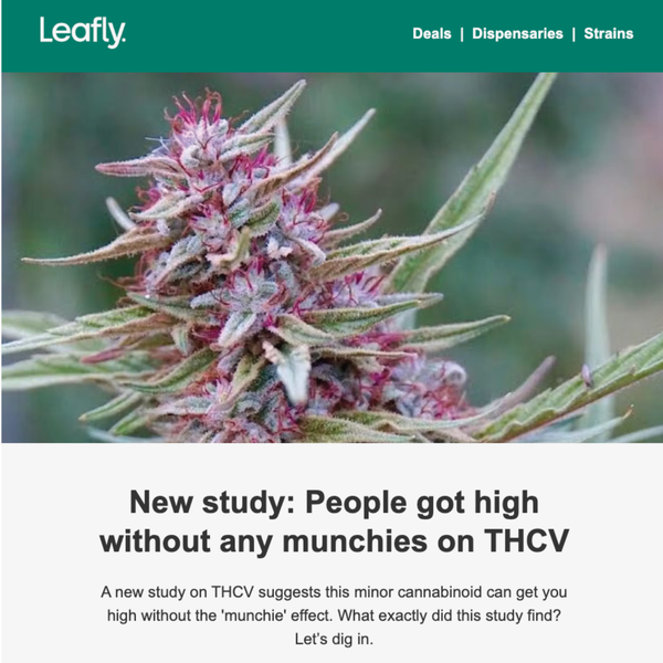 Leafly's Clickbait Headline Misleads on THCV