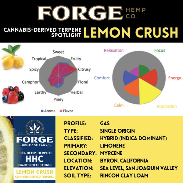 Forge Hemp Co. Lemon Crush product information with terpene profile and branding.