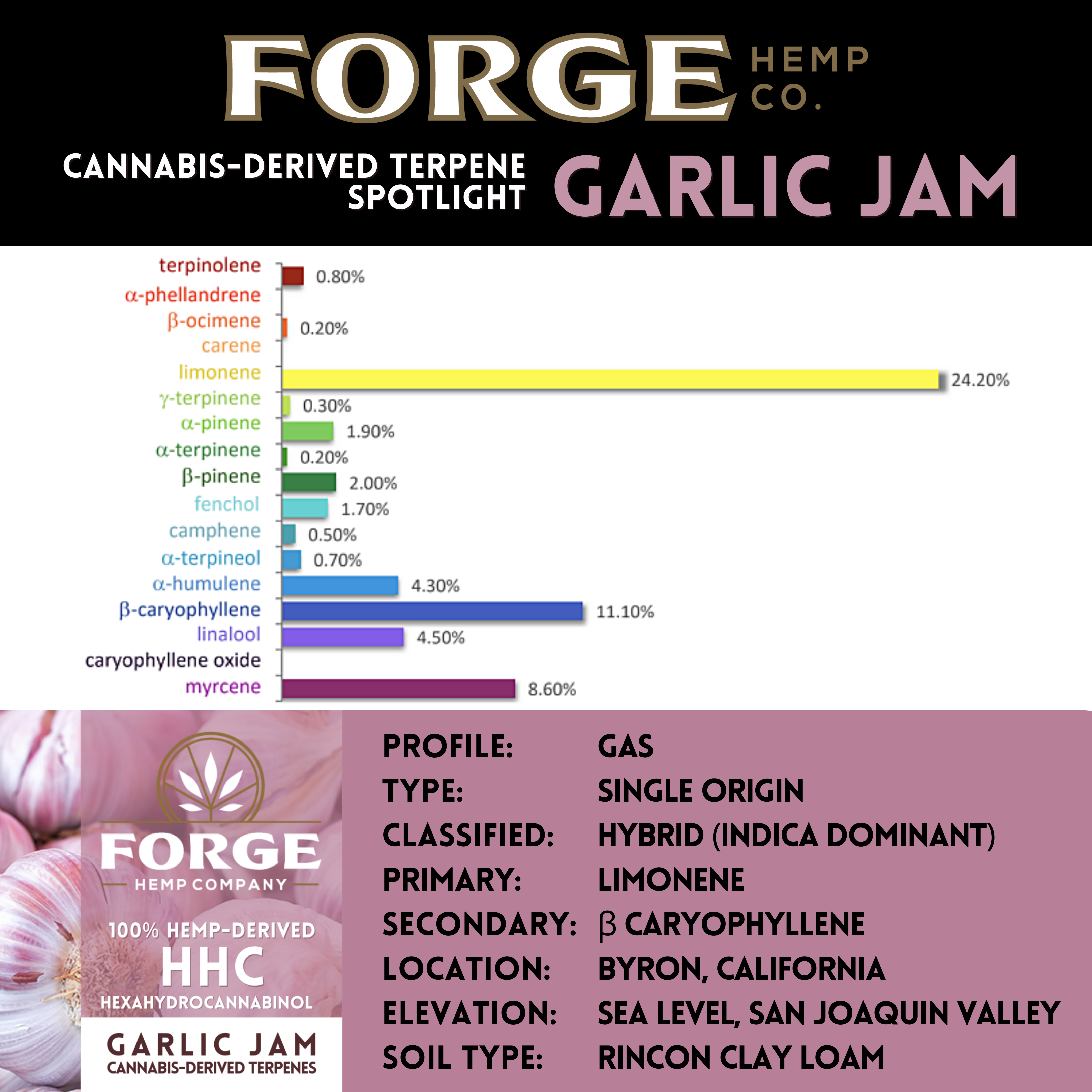 HHC with Garlic Jam Terpenes
