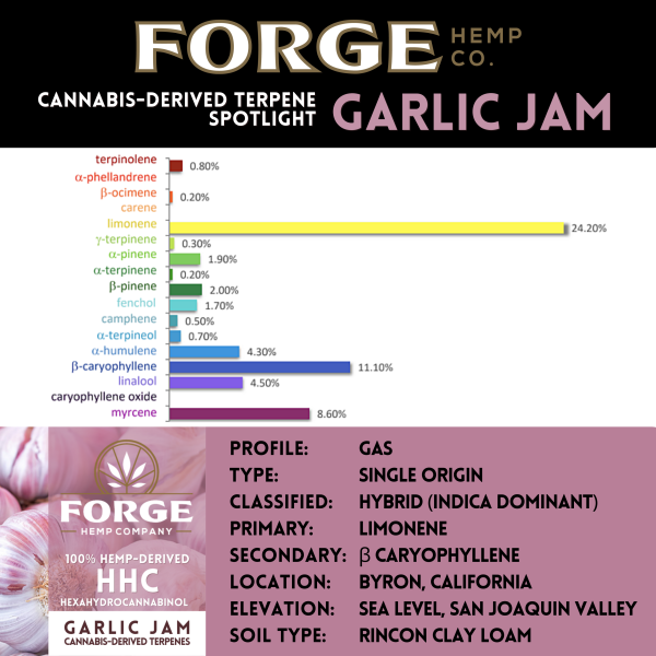 Garlic-Jam Terpene-Profile