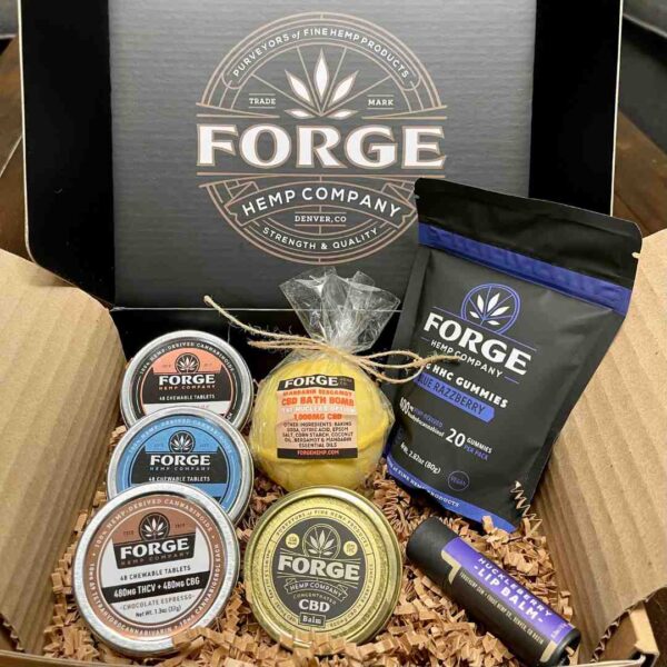 Forge-Holiday-Survival-Kit 2